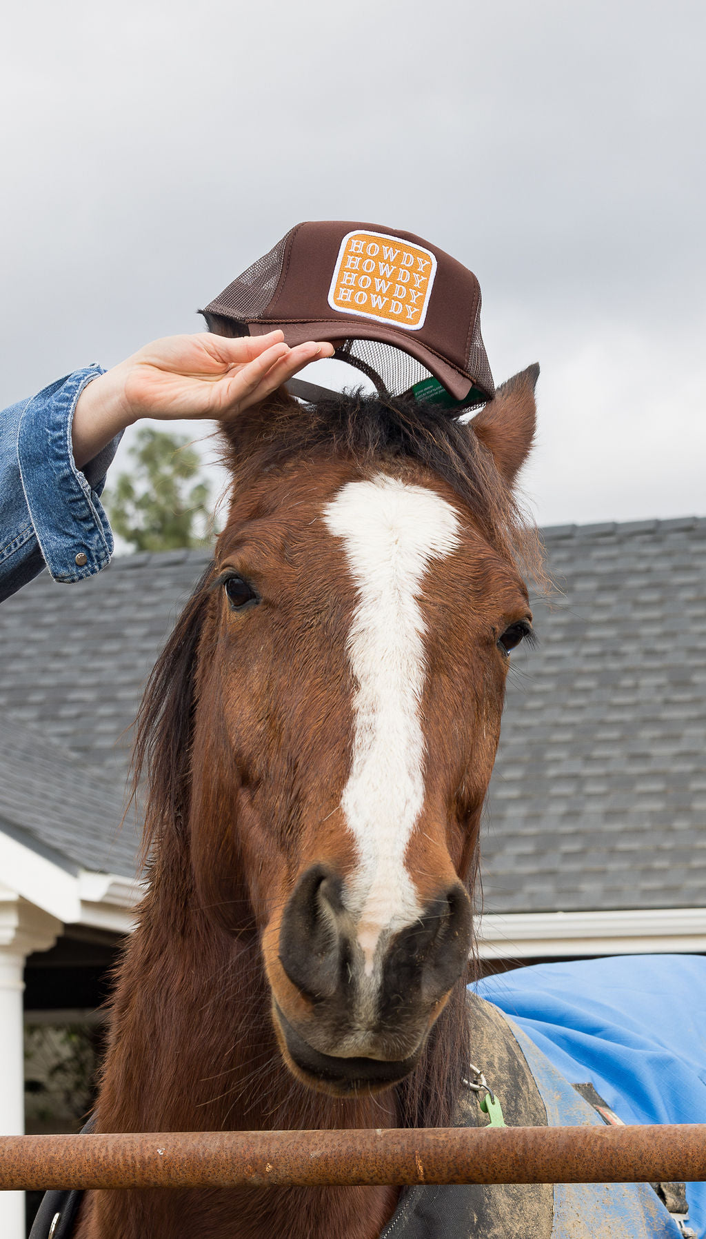 Howdy Trucker Hat in Brown