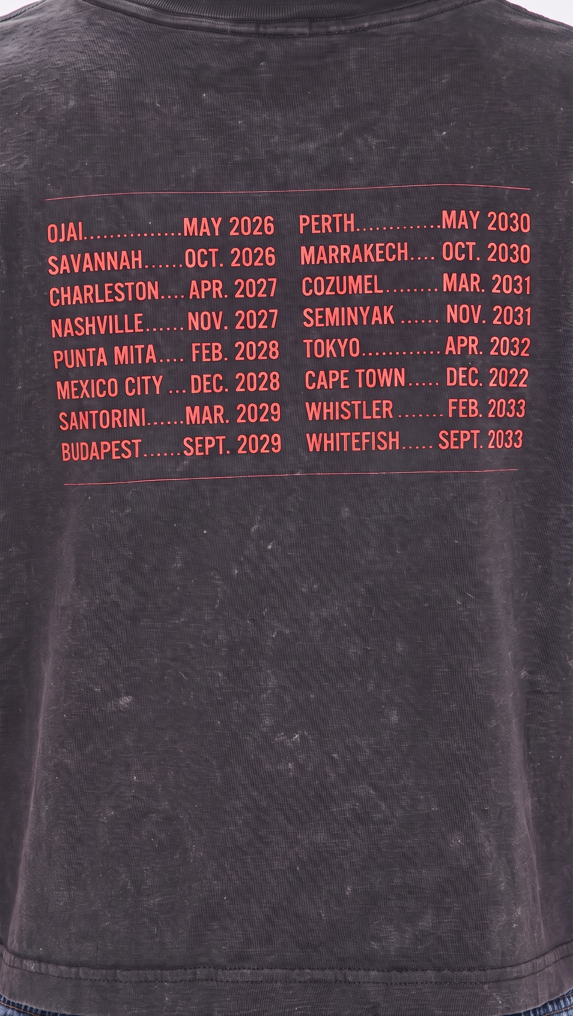 Vacation Planning Committee Crop Tee in Black